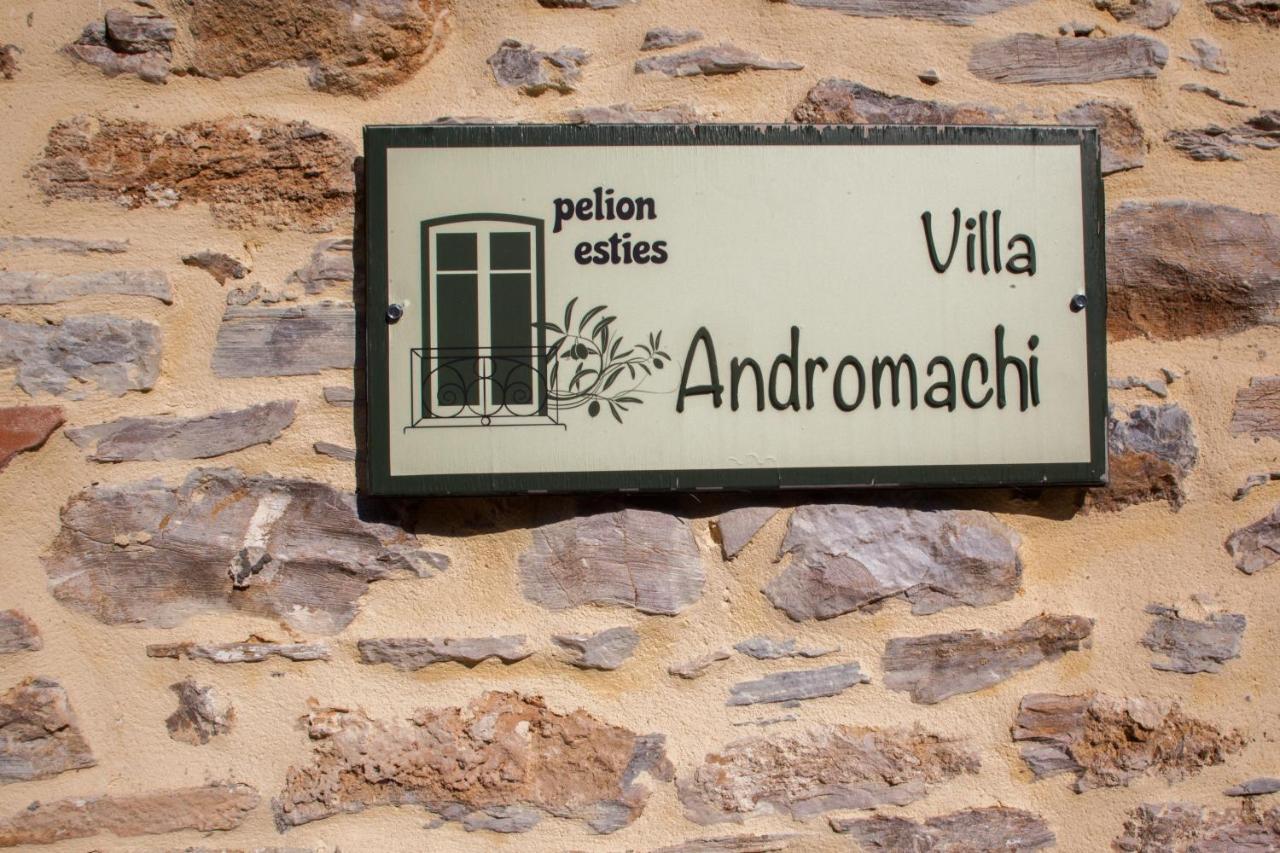 Villa Andromachi By Pelion Esties Ano Gatzea 外观 照片